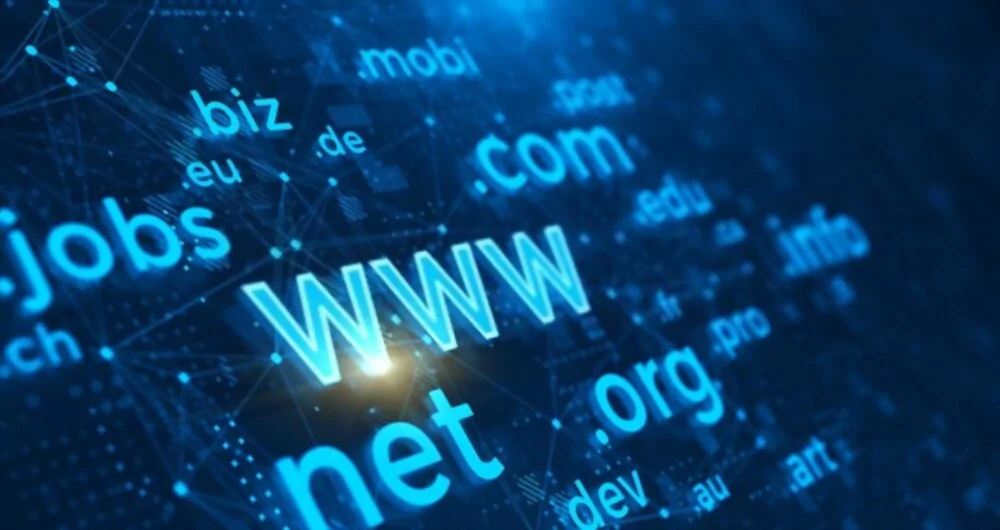 What is a Domain Name? A Beginner's Guide for Newbies What is a domain name? Beginner's Guide for Newbies - LikaCloud